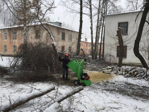 Спил и вырубка деревьев стоимость услуг и где заказать - Ижевск