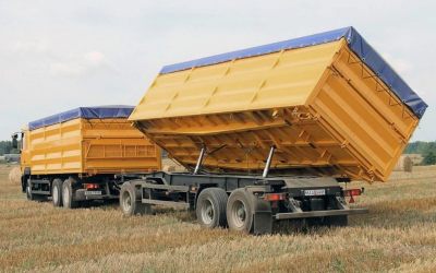 Услуги зерновозов для перевозки зерна - Ижевск, цены, предложения специалистов