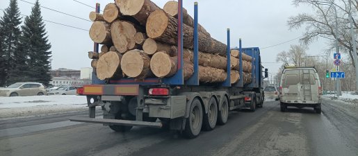 Поиск транспорта для перевозки леса, бревен и кругляка стоимость услуг и где заказать - Ижевск